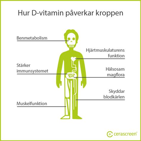 Måter Å Heve Vitamin D Nivåer I Kroppen